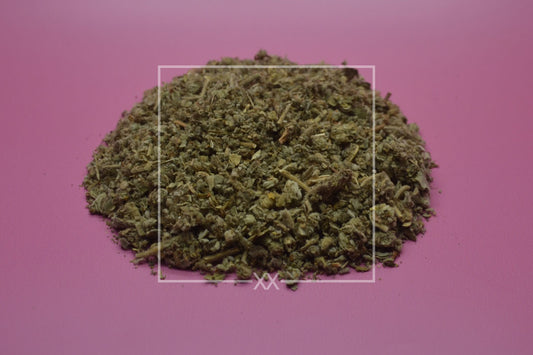 Althaea officinalis Marshmallow