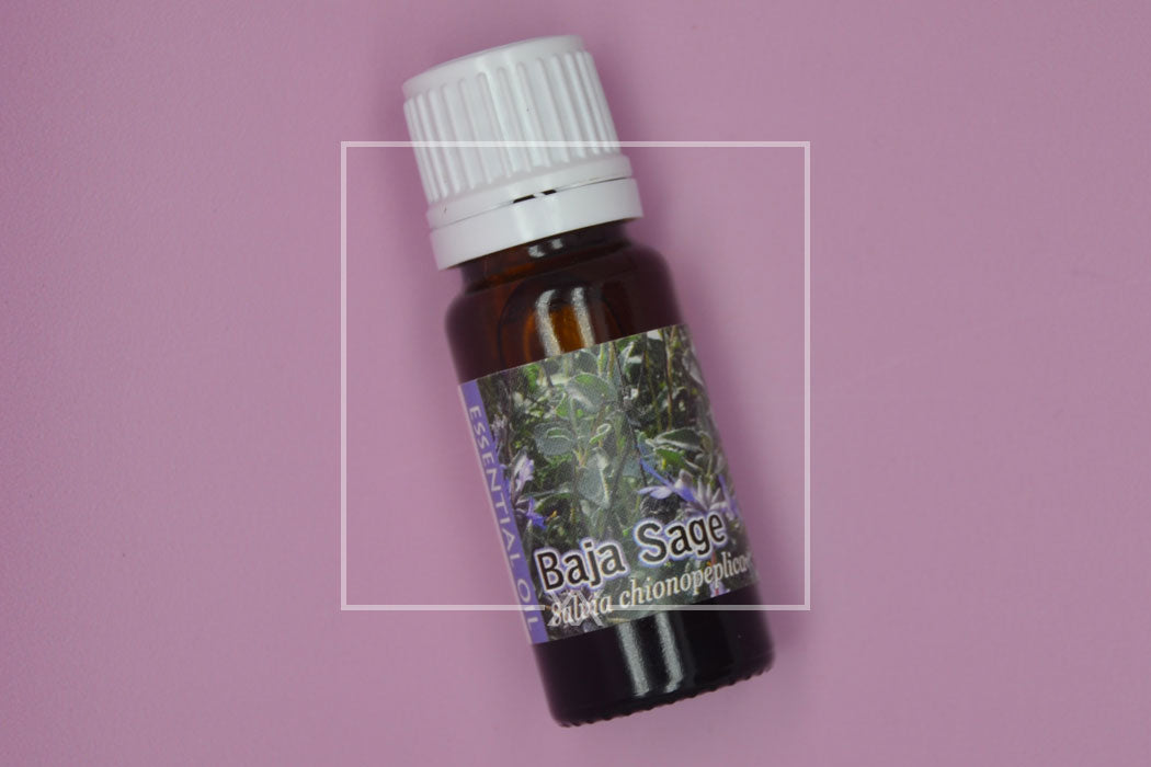 Baja Sage Essential Oil