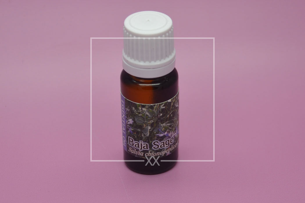 Baja Sage Essential Oil
