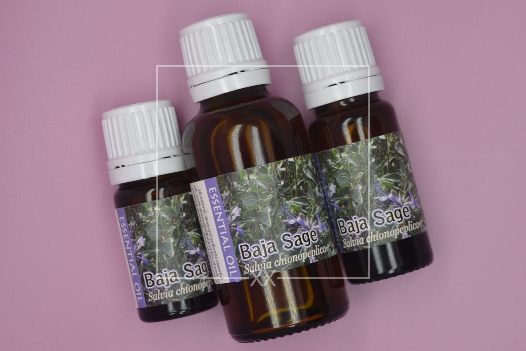 Baja Sage Essential Oil