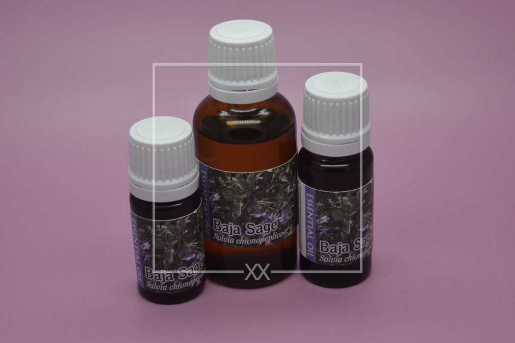 Baja Sage Essential Oil