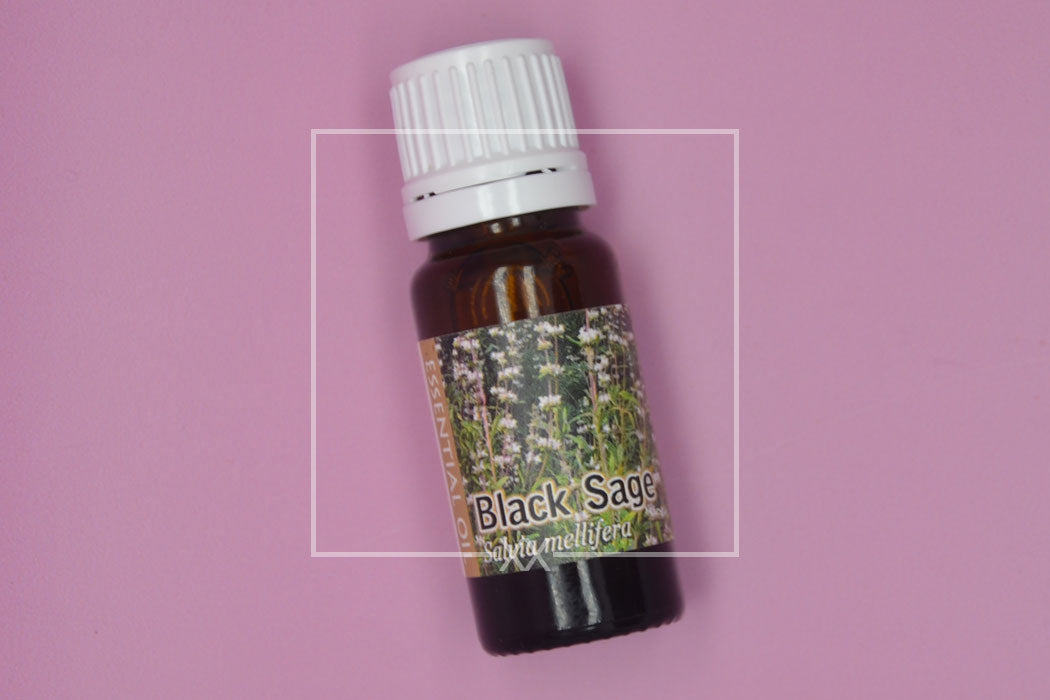 Black Sage Essential Oil