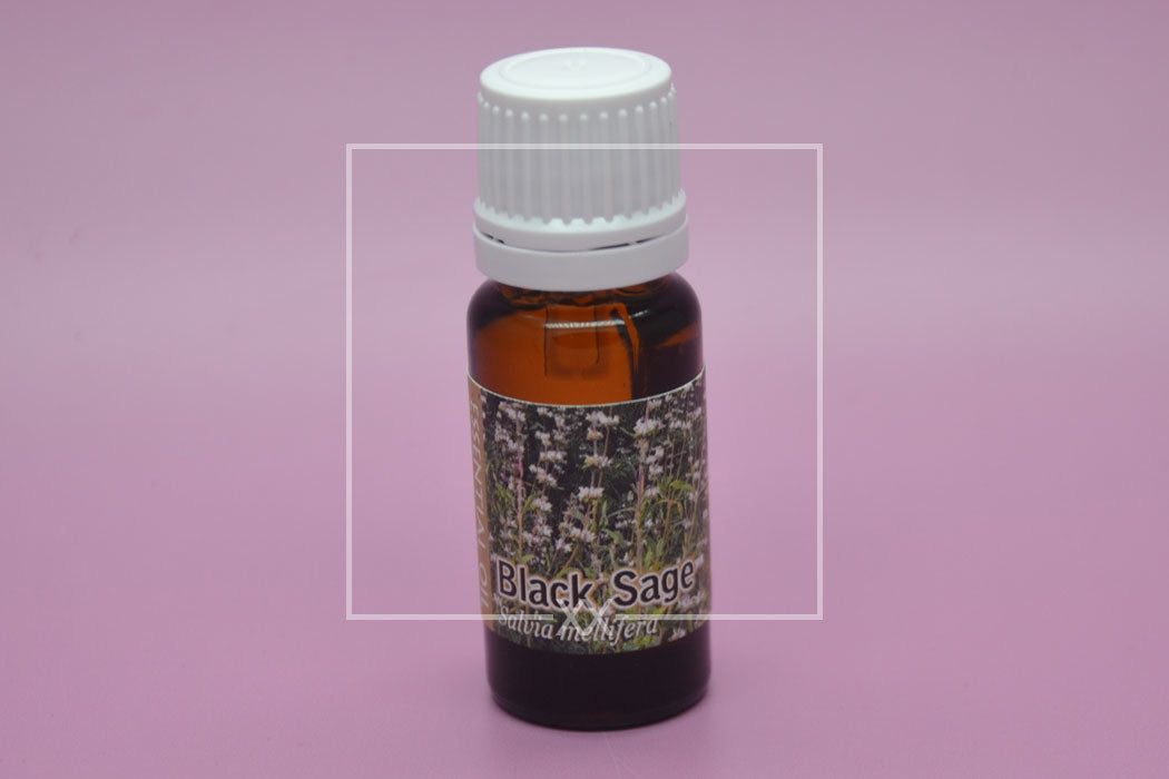 Black Sage Essential Oil