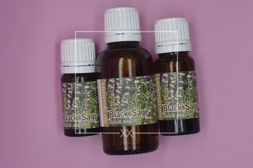 Black Sage Essential Oil