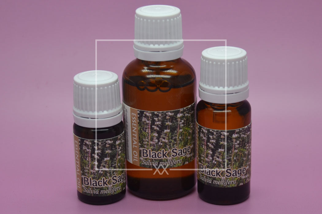 Black Sage Essential Oil