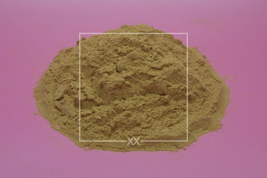 Boletus edulis Boletus Powdered