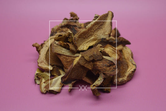 Boletus edulis Boletus Slices