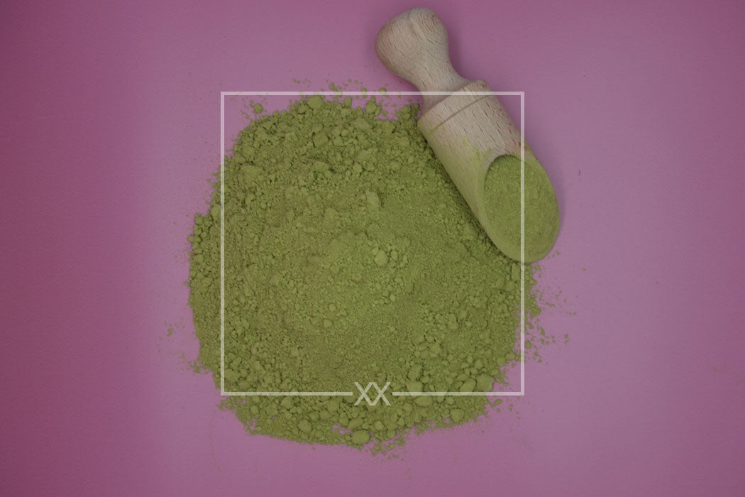 Matcha-Tee mit Kamelie sinensis