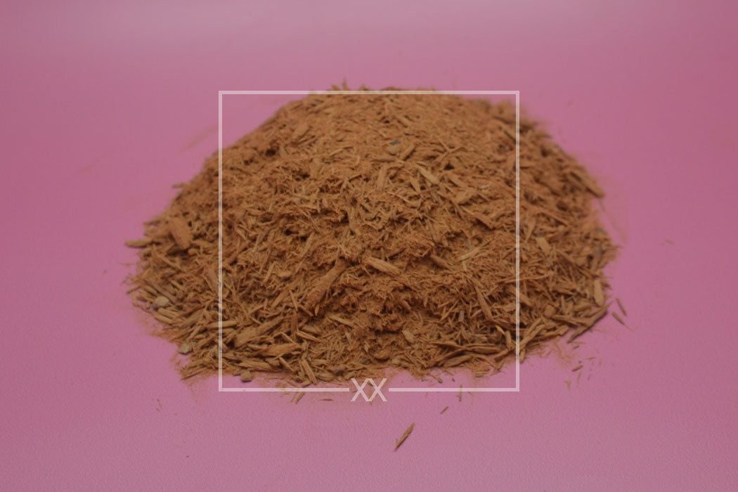 Cinchona officinalis Chininrinde