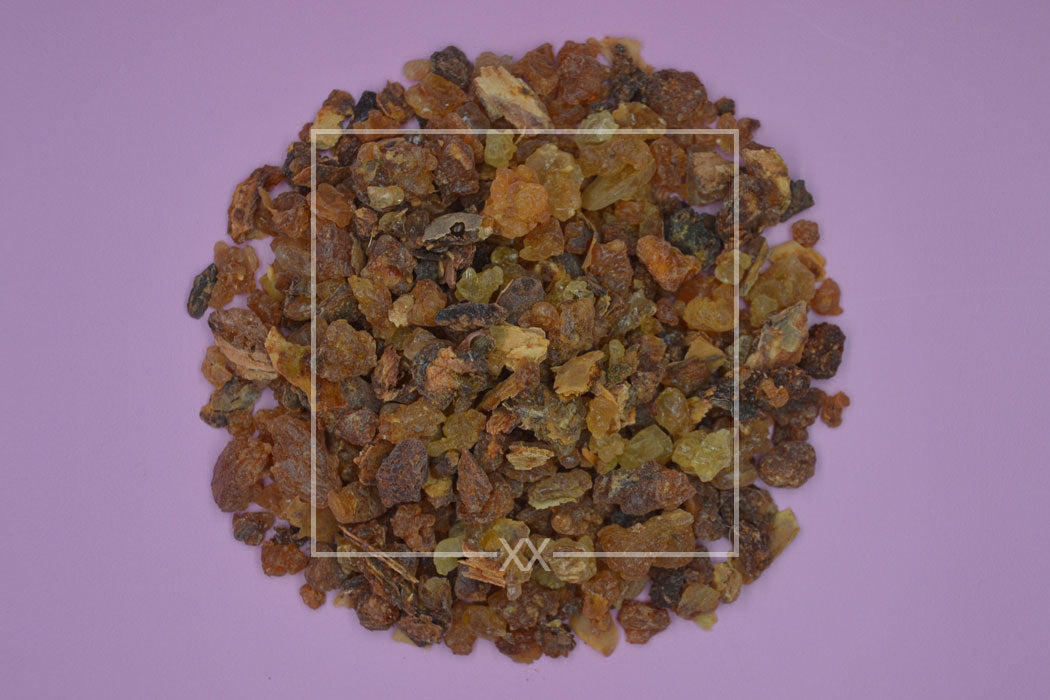 Commiphora myrrha Myrrh