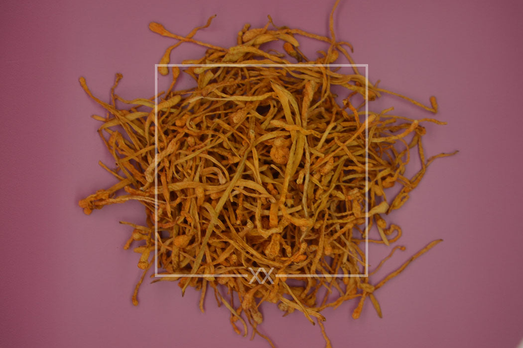 Cordyceps militaris Cordyceps Whole