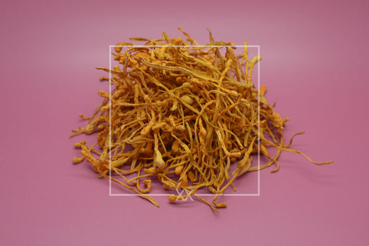 Cordyceps militaris Cordyceps ganz