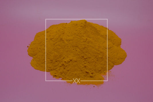 Curcuma longa Kurkumapulver