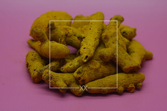Curcuma longa Kurkumawurzel