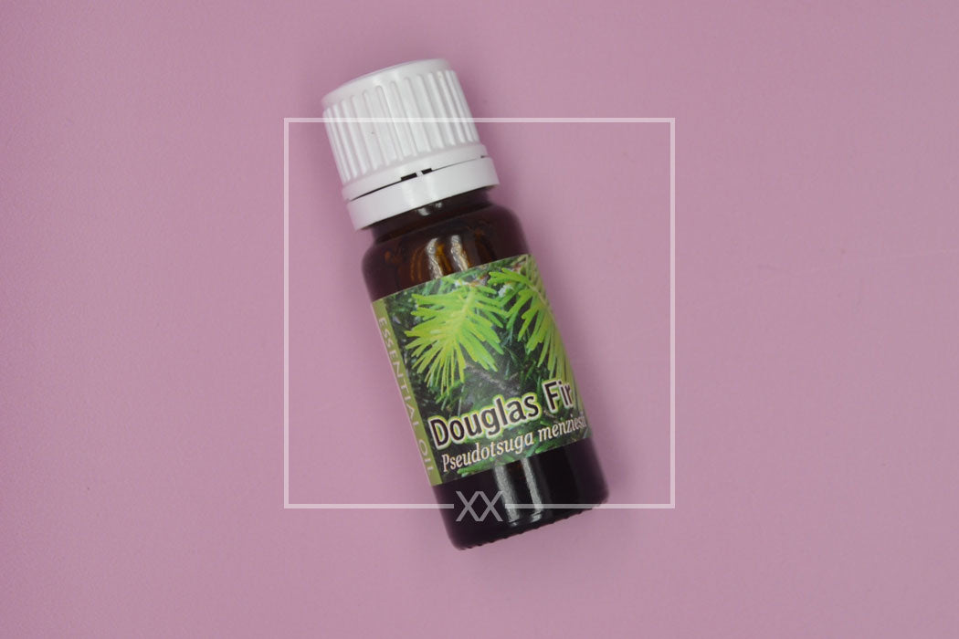 Douglas Fir Essential Oil