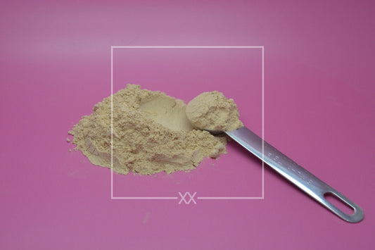 Grifola frondosa Maitake Powdered