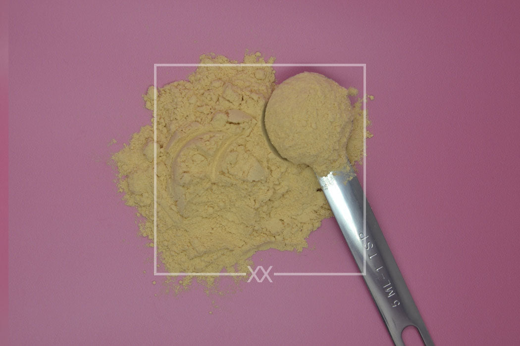 Hericium erinaceus Löwenmähne gemahlen