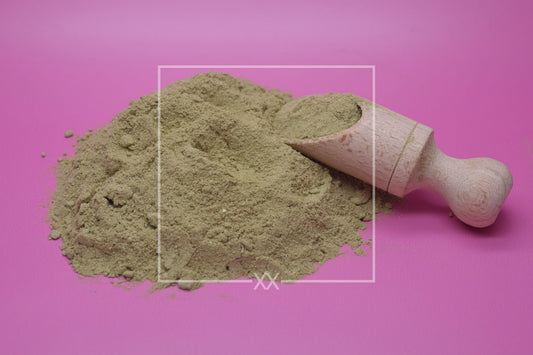 Ilex paraguariensis Yerba Mate pulverisiert