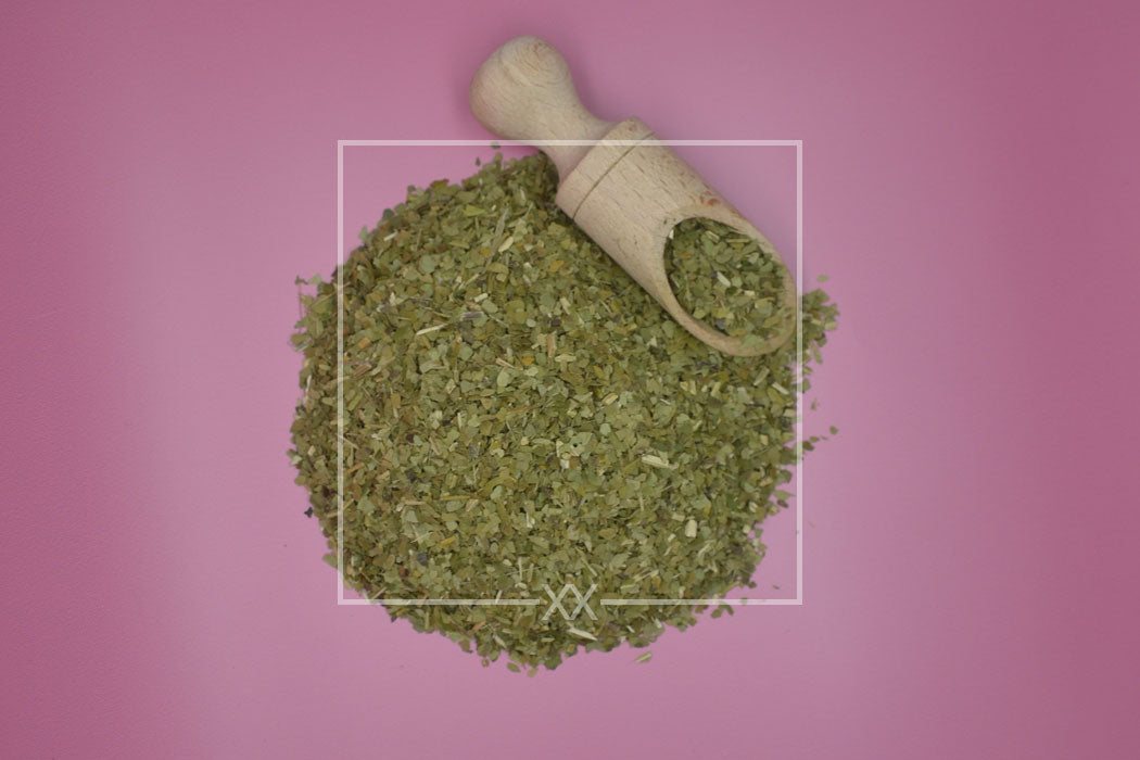 Ilex paraguariensis Yerba Mate versnipperd