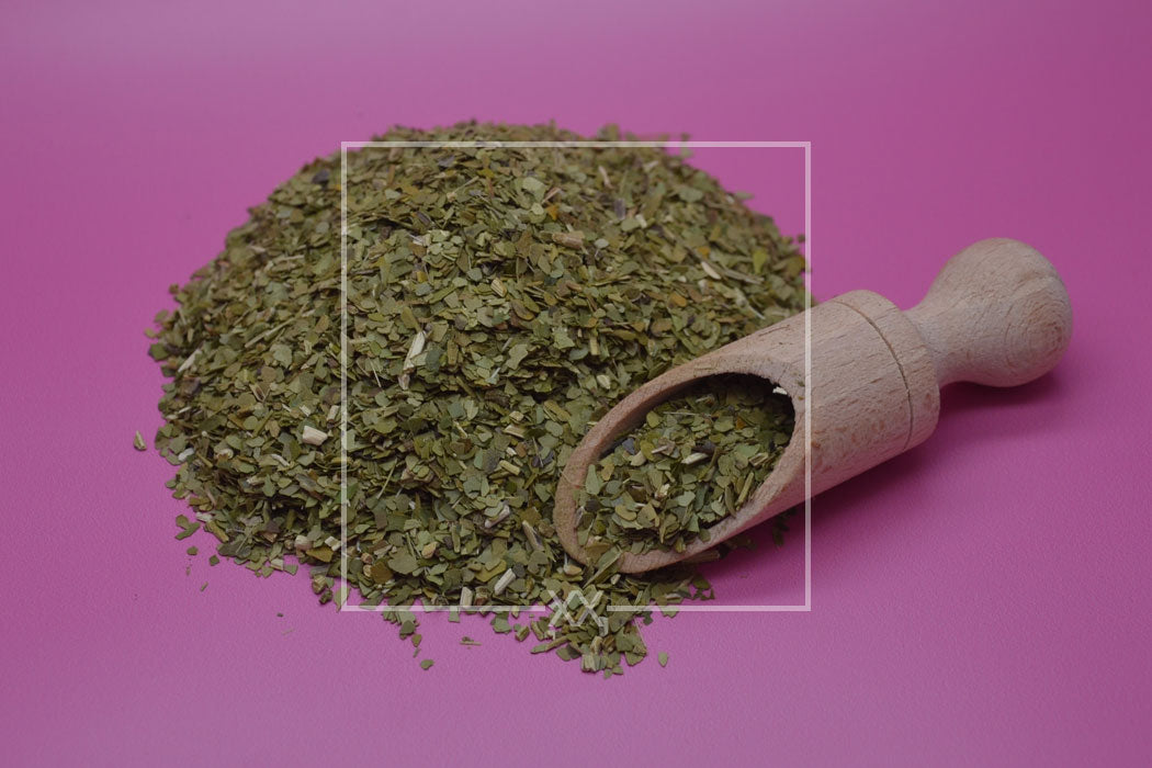 Ilex paraguariensis Yerba Mate versnipperd