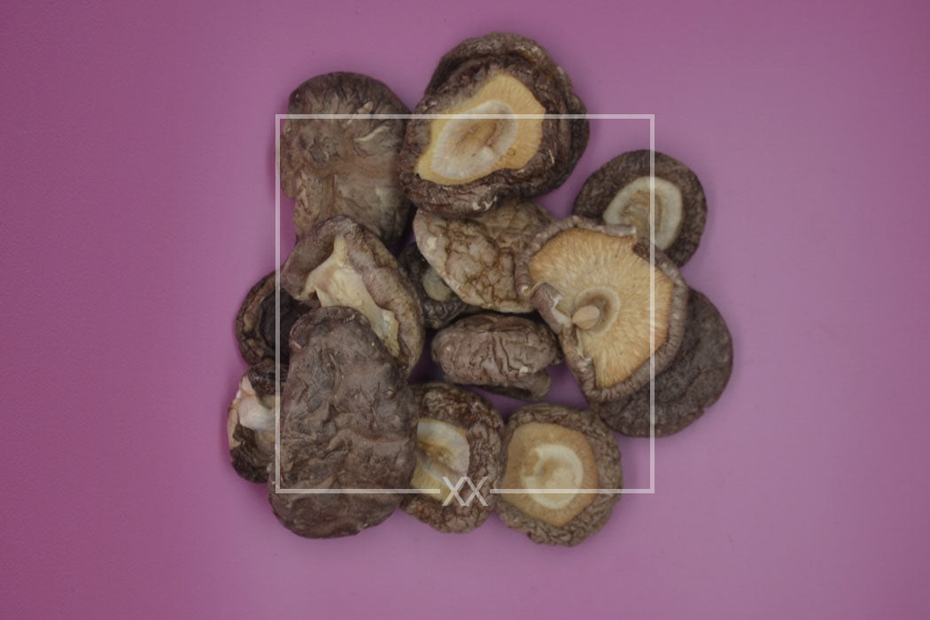 Lentinus edodes Shiitake Hoeden
