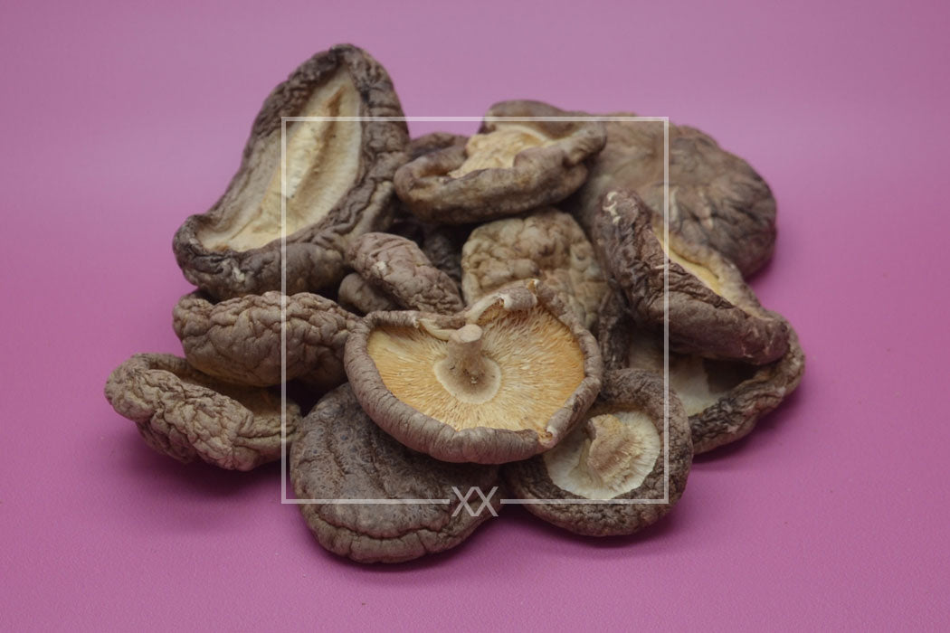 Lentinus edodes Shiitake Hoeden