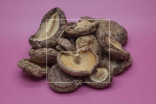Lentinus edodes Shiitake-Hüte