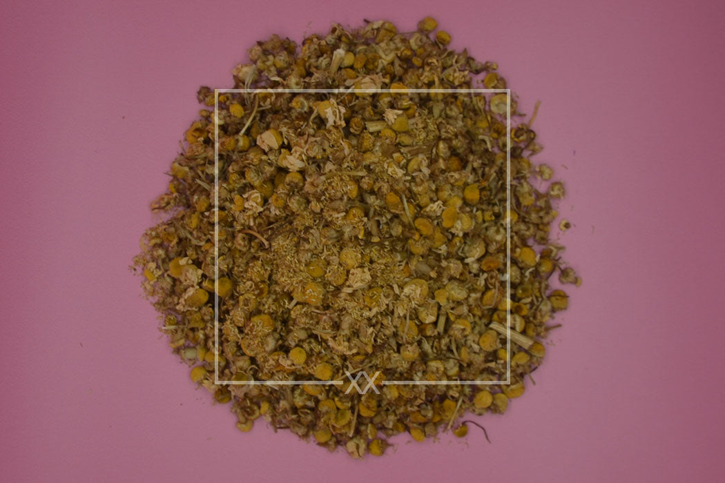 Matricaria recutita Kamille