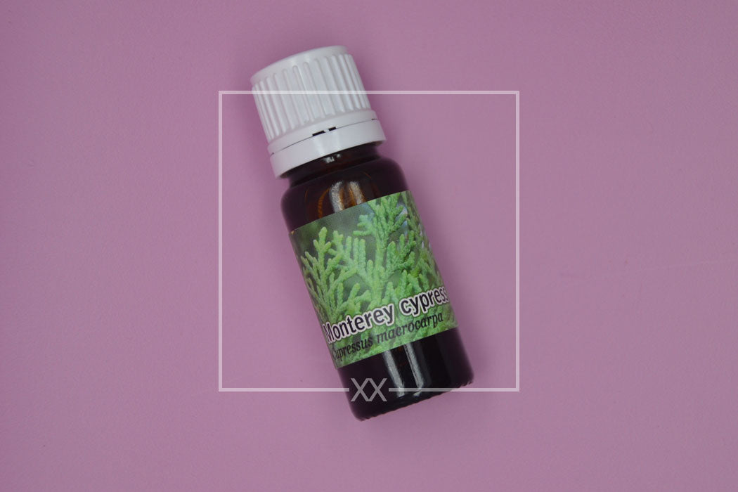 Monterey cypress Essential Oil