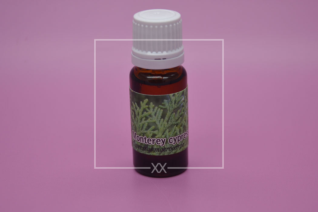 Monterey cypress Essential Oil