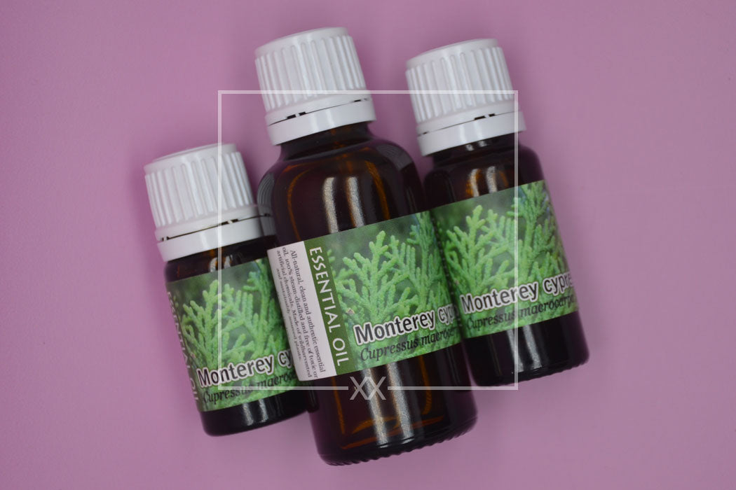 Monterey cypress Essential Oil