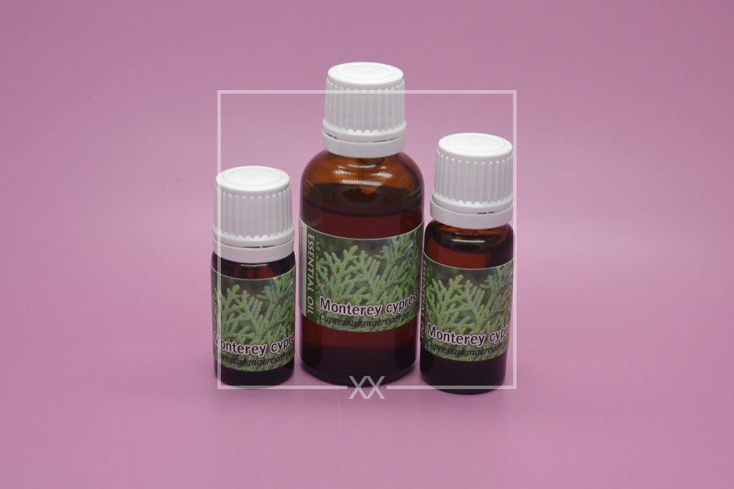 Monterey cypress Essential Oil