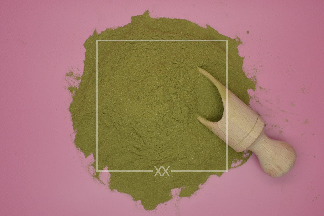 Moringa oleifera Leaves Powdered