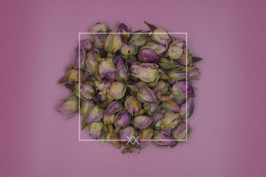 Rosa damascena Rosenknospen