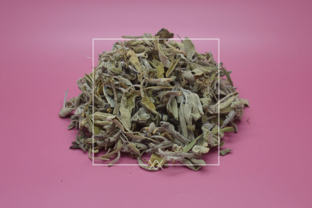 Salvia officinalis Salbei