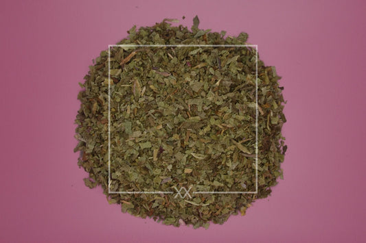Taraxacum officinale Löwenzahnblätter