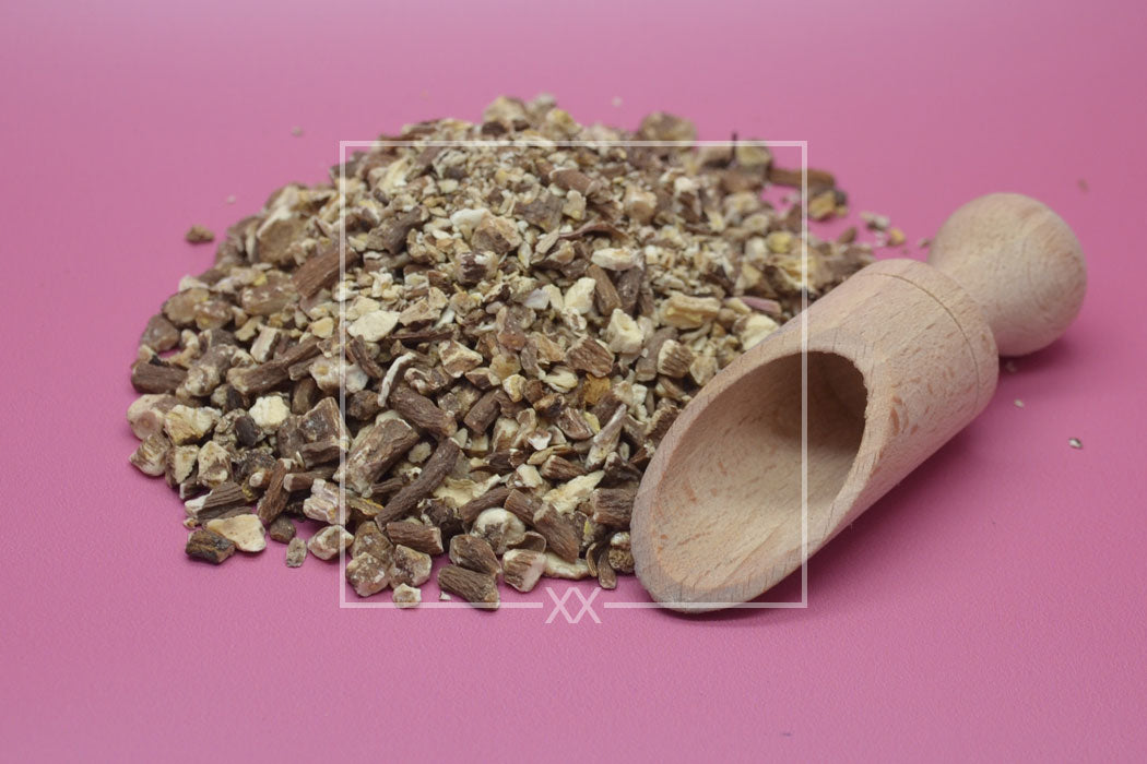 Taraxacum officinale Löwenzahnwurzel