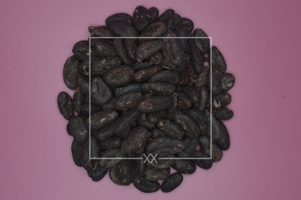 Theobroma cacao Kakaobohnen