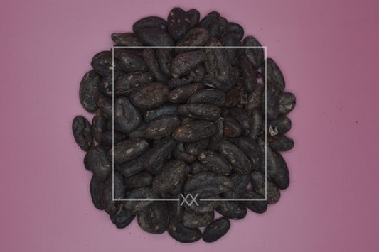 Theobroma cacao Kakaobohnen