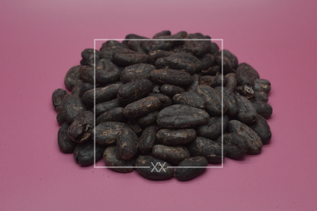 Theobroma cacao Kakaobohnen