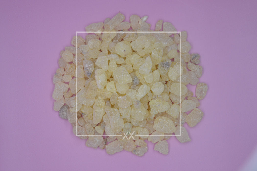 Vateria indica White Dammar