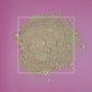 Acorus calamus Calamus Powder