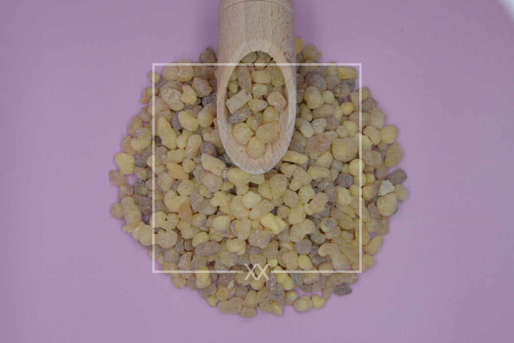 Boswellia papyrifera Gouden wierook