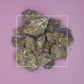 Bursera graveolens Palo Santo Resin