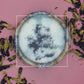 Clitoria ternatea Schmetterlingserbsenpulver
