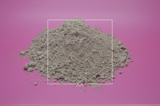 Coriolus versicolor Turkey Tail