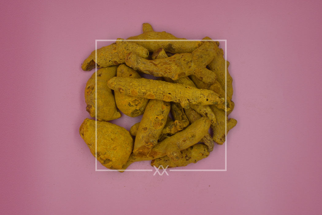 Curcuma longa Turmeric Root