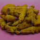 Curcuma longa Turmeric Root