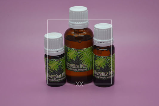 Douglas Fir Essential Oil