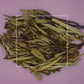 Eriodictyon californicum Yerba Santa